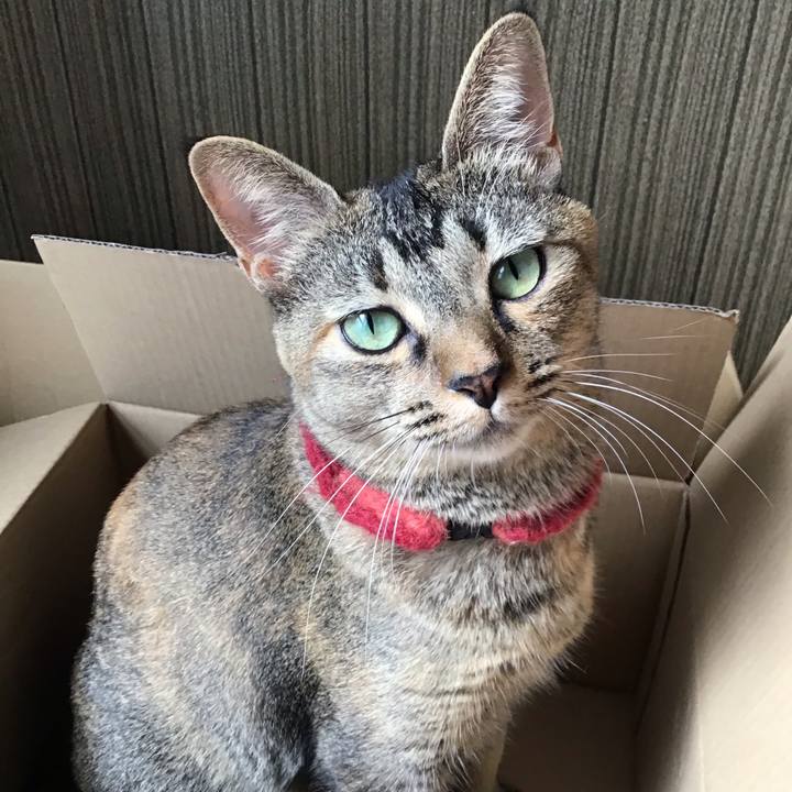 6b3c5ac1 7d39 4ba8 bea3 55e3b64e9571 1601601909262