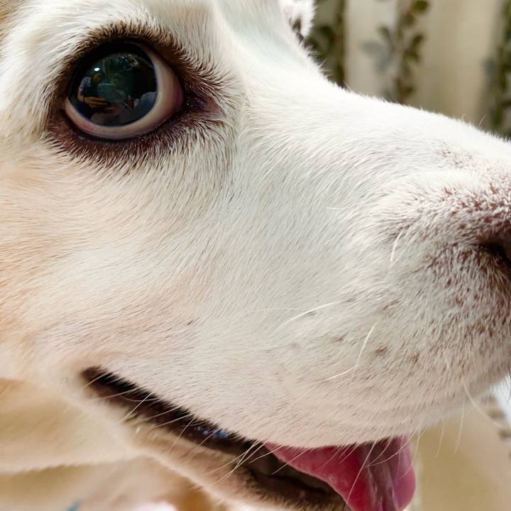 6b3c5d96 dc70 4793 b67e 155245ebca45 1660644468866