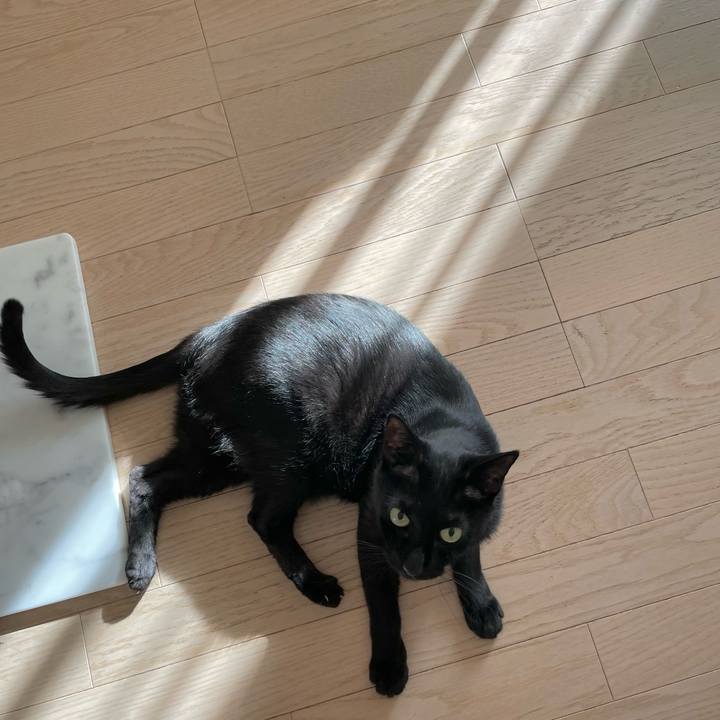 6b3c6387 ebbd 4dc2 95ca 3fd74873e9ea 1660142611576