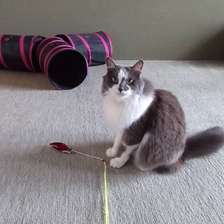 6b3c74d4 0d3a 479b 99bc 373f8b4186b1 1629581478720