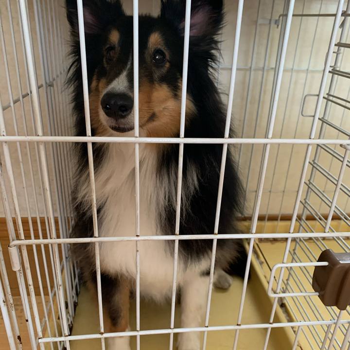 6b3c81da 8533 482d 8b69 49ff61442f12 1586045132353