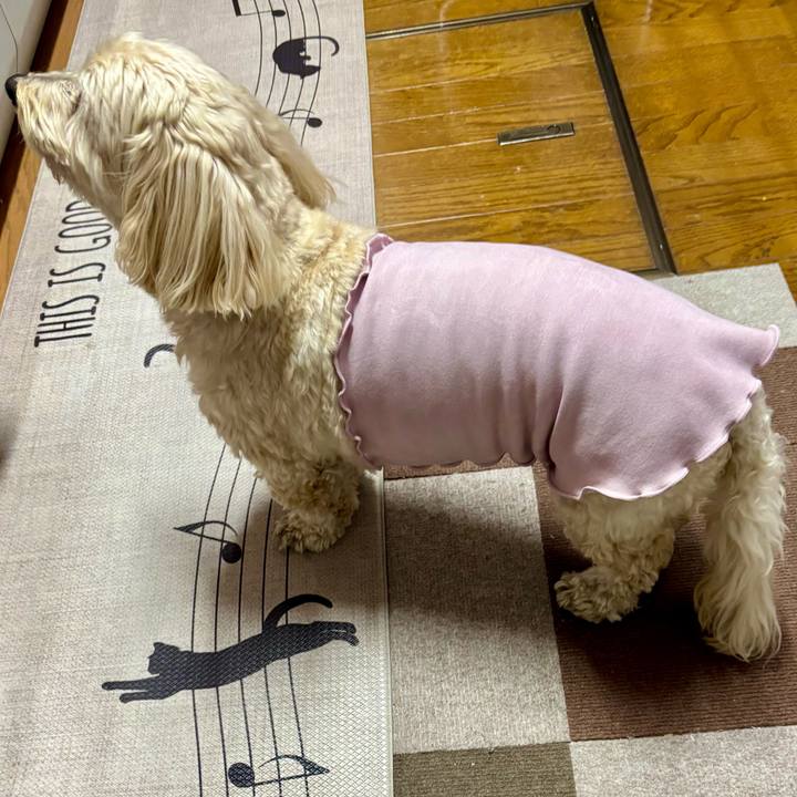 6b3c9007 f2e1 46aa b56b a840106045ef 1769647717226