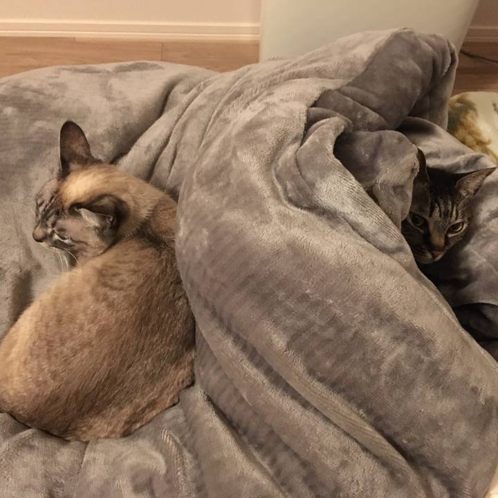 6b3ca14b 9132 420c 8306 f0b22ca37ab9 1579929842116