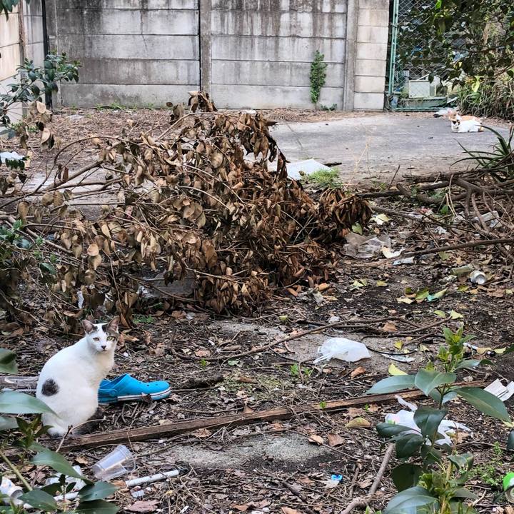 6b3d0822 6c46 4a6a a78d cab59b58f188 1522830895834