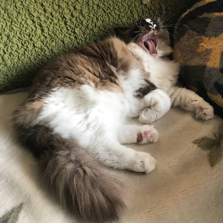 6b3d0aca f000 49b6 9ba1 eb30a9c992e3 1522329992954