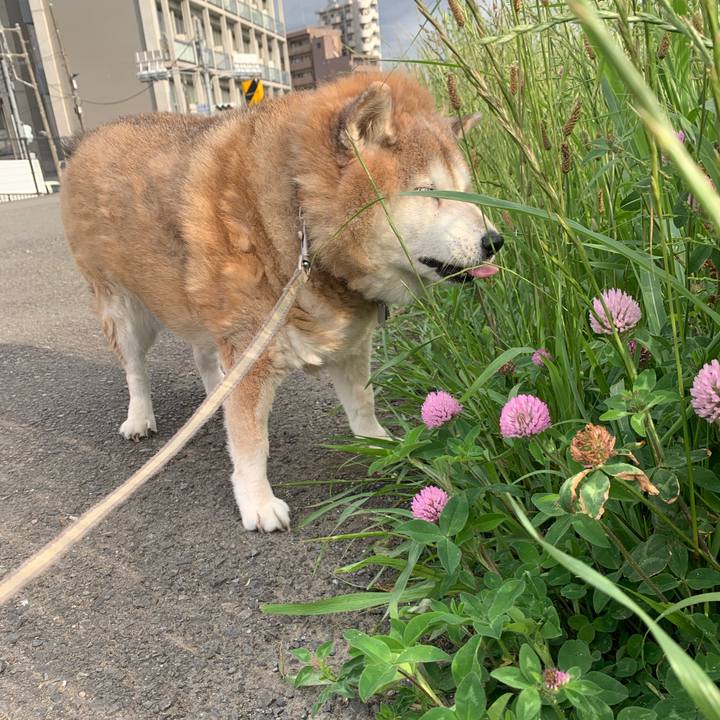 6b3d1f52 1ce2 49fe a9b1 d9c91338d7d9 1620773769439