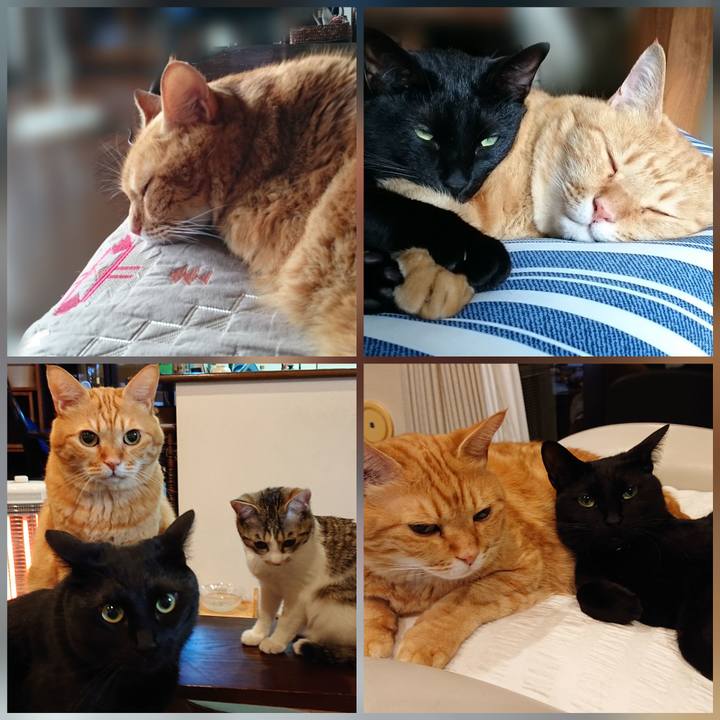 6b3d55e4 da3c 4191 8bd1 180ff8dabace 1567295648623