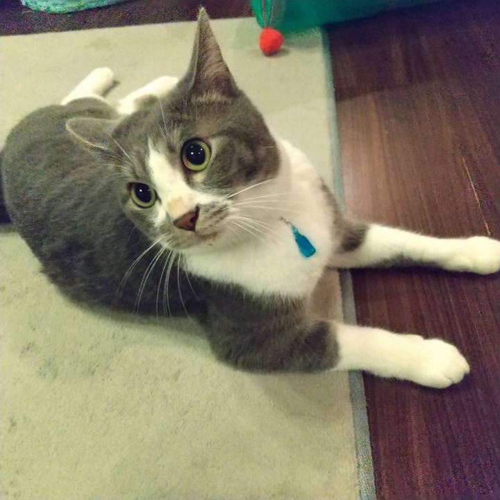 6b3d69f1 510a 44be be85 62ac35bc8c17 1630675650024