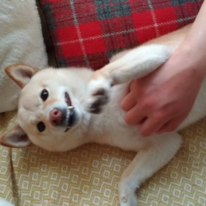 6b3da119 2bf1 4e45 b273 3112a4d20071 1557524110175