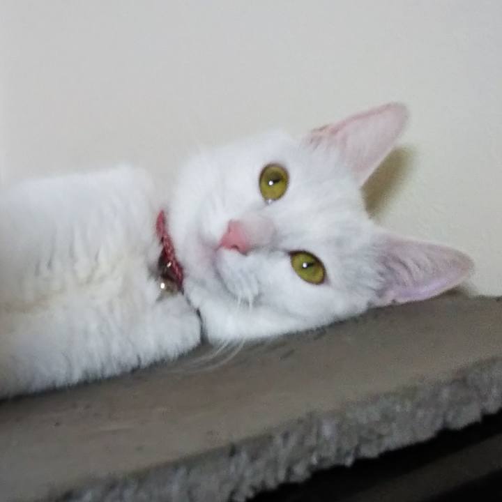 6b3dbf20 5e98 430c 9a31 65c99a749787 1626818972156