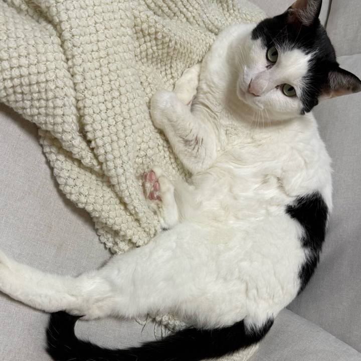 6b3dc1c1 67da 4cef a15c fece1200f5ce 1751497673642