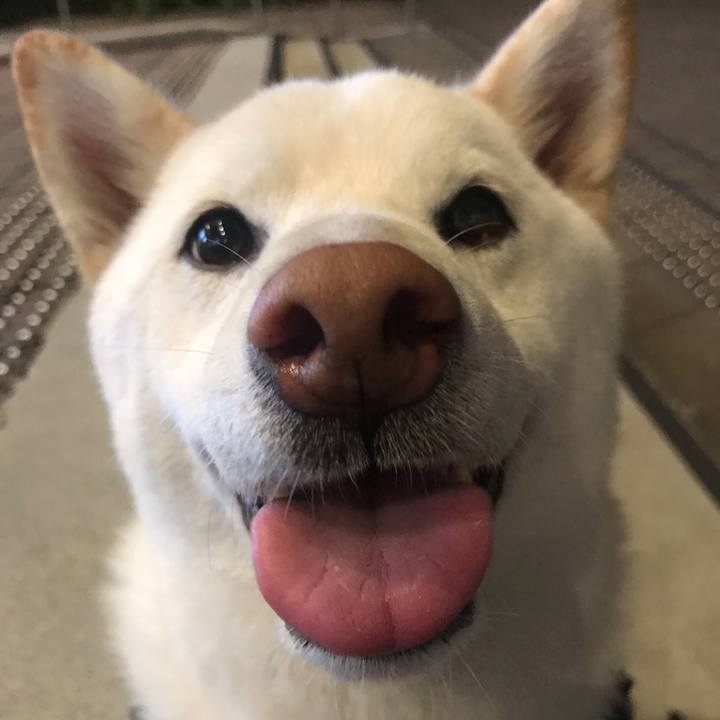 6b3de8a8 2d5d 4efd a489 63d5ec172b6a 1570964142565