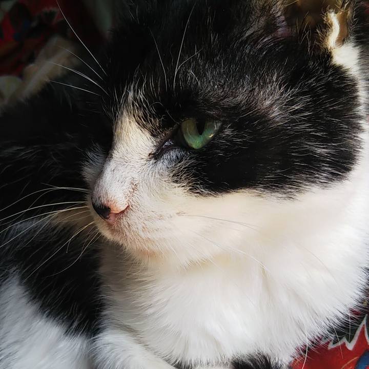 6b3dee63 24bd 44c8 9218 6c2800bc7522 1616123919330