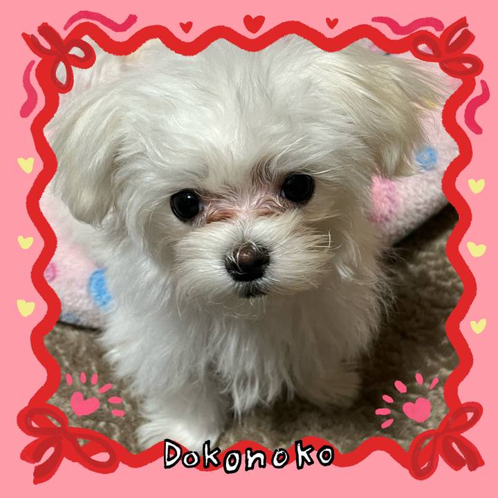 6b3dfb1e 51a6 4a36 9eaa 254f7337b449 1706759513515