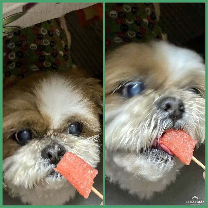 6b3e120f 9880 470d a4d5 25e62dc37b17 1650107660072