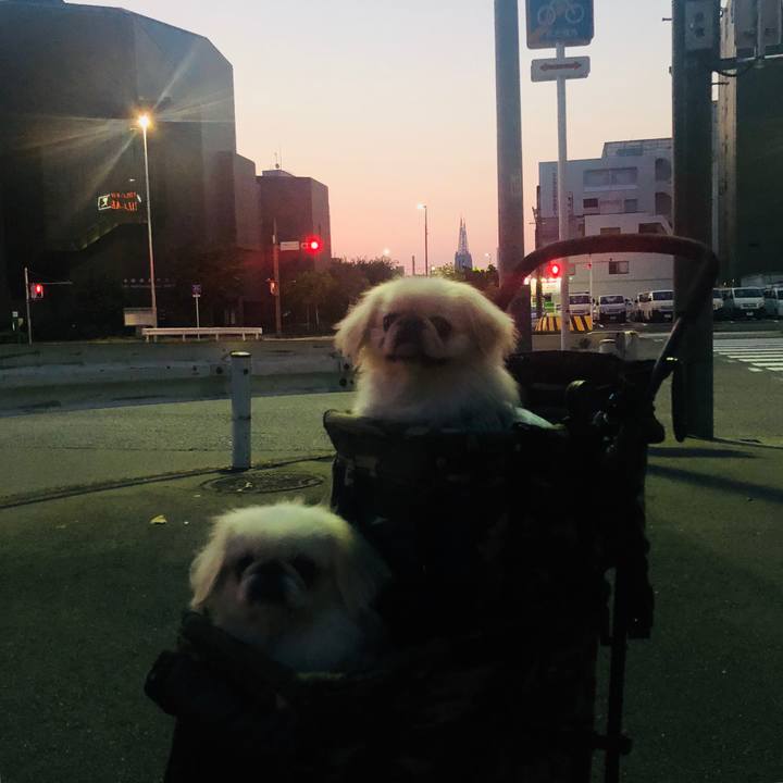 6b3e2a27 8b85 414f 825e 279a2a4df73c 1564605836764