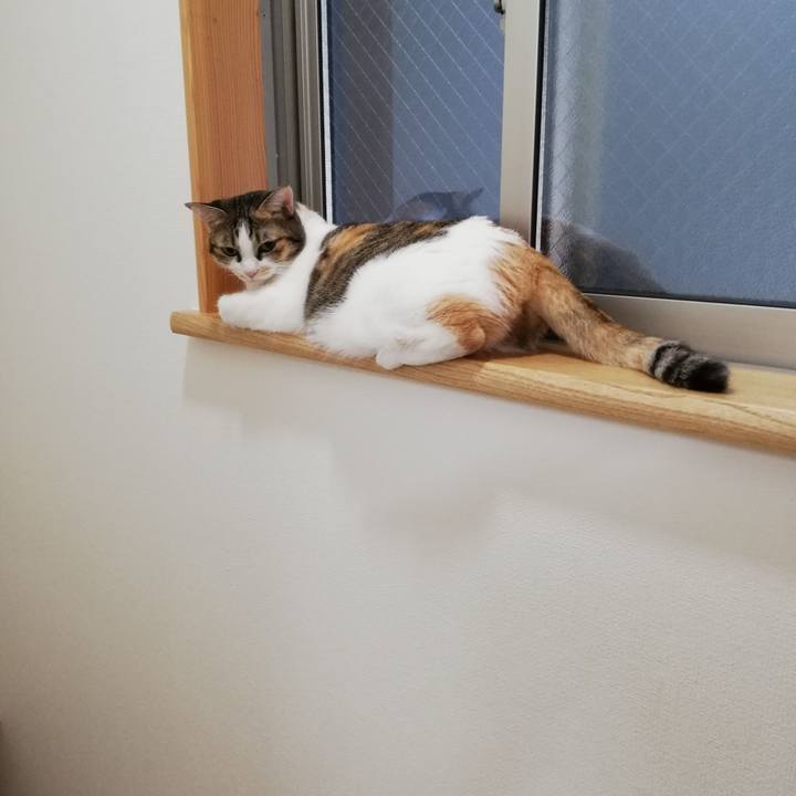 6b3e6396 b3dc 4209 a24b 66a273cb440f 1599174399089