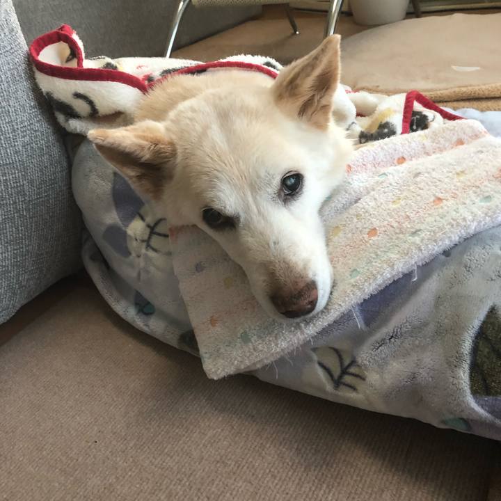 6b3ee4be 7a6d 43bf a994 080f18d7fba3 1646867818558