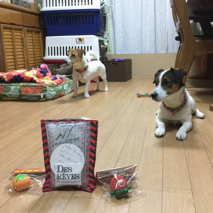 6b3ee67d 5ec1 4eac bd48 59ecf857c932 1524218338483