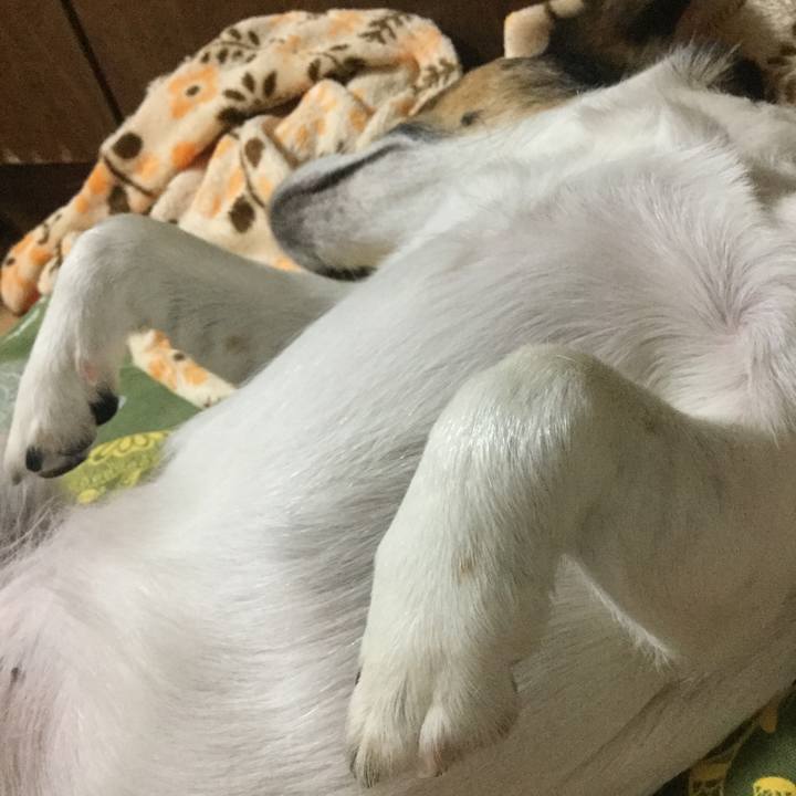 6b3efd9e 06ff 45ee a632 92d0a0d640c7 1532521175636