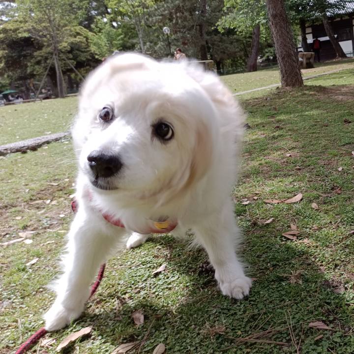 6b3f03bc aa92 4045 be68 19867e57089f 1687482515133