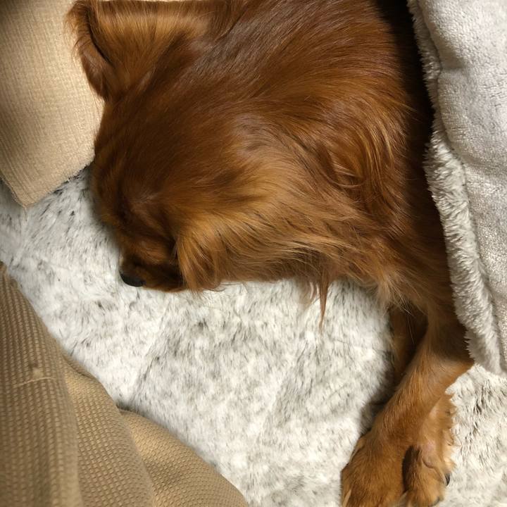 6b3f1b02 2f65 49cc 9d8a 04340f4df0fb 1540937317949