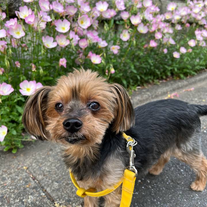 6b3f28b4 238f 4a80 b5ba af18d7f487c4 1651959705069