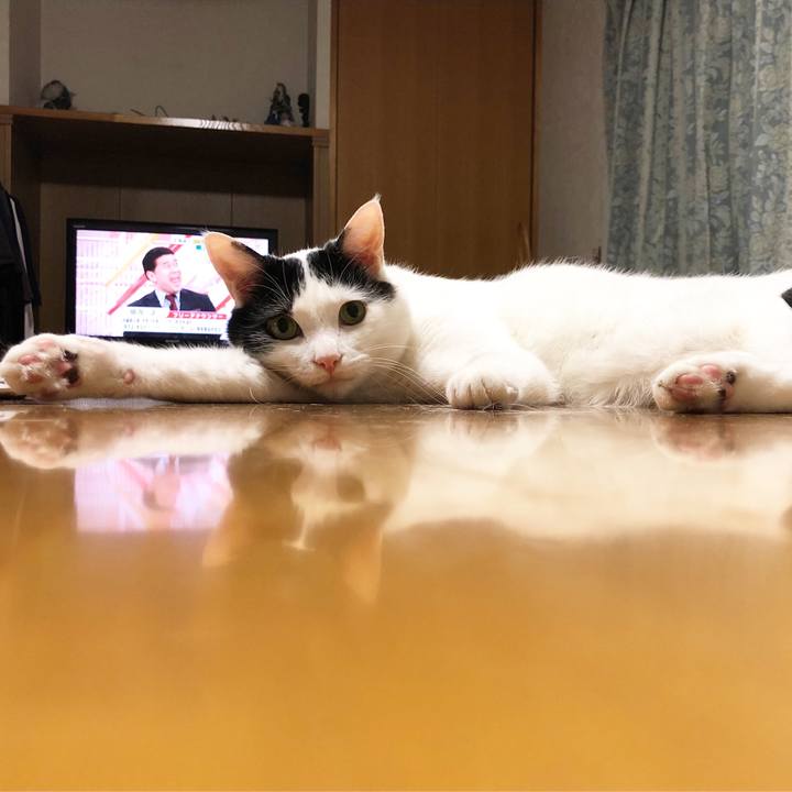 6b3f57aa c719 47c4 926f 0790892fc9d9 1559231070111