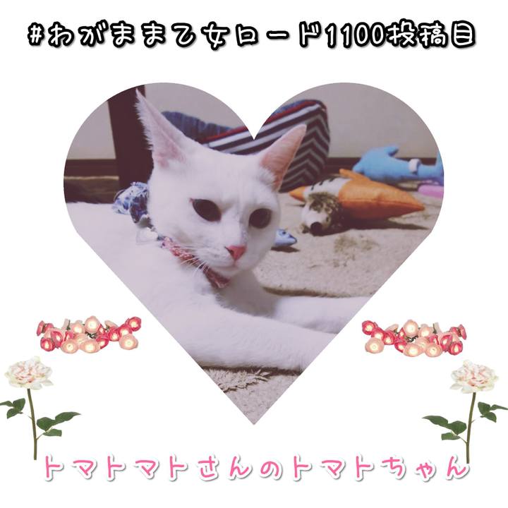 6b3f9bf9 6b0c 4b09 a33a 0fc9a21d5f96 1572427592478