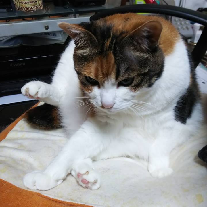 6b3fad55 28ce 4b35 94f9 b3fd50c4f34d 1559598182199