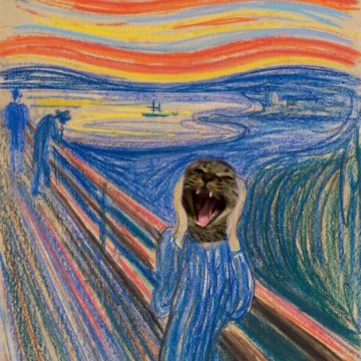 6b3faf9c 8112 44a3 b026 fc97edc47f31 1635677398145