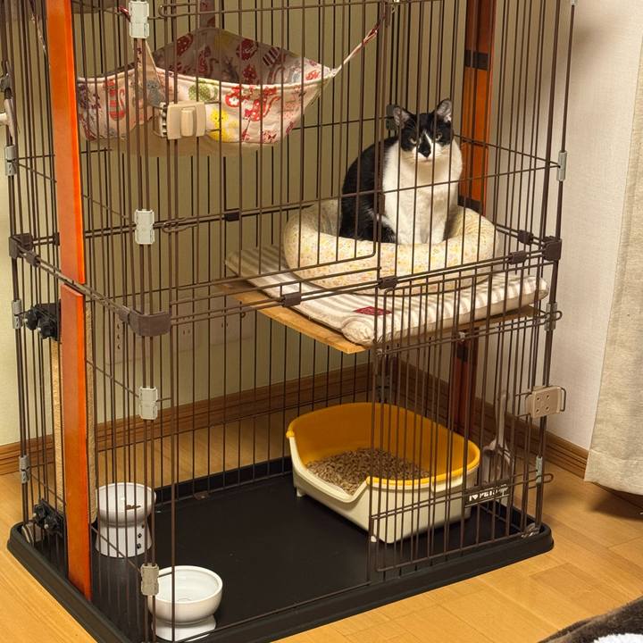 6b3fcb5a 9568 4a9e b12e 3f9160f3364e 1772715976468