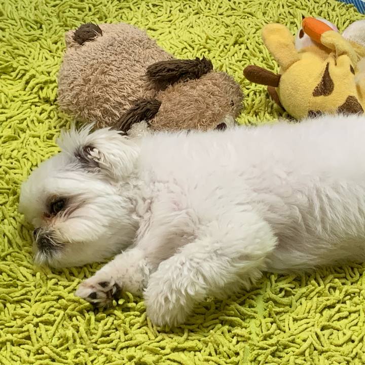 6b400b0d 13f7 44d8 a1b3 179f2bebcbea 1684413011040