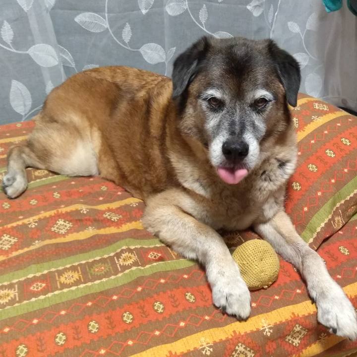 6b402733 d150 4824 b86c 0cc5a56004d9 1564058977259