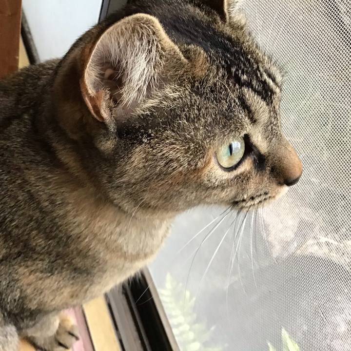 6b408016 6882 46e2 8c85 8adcbb9a6e37 1583818902771