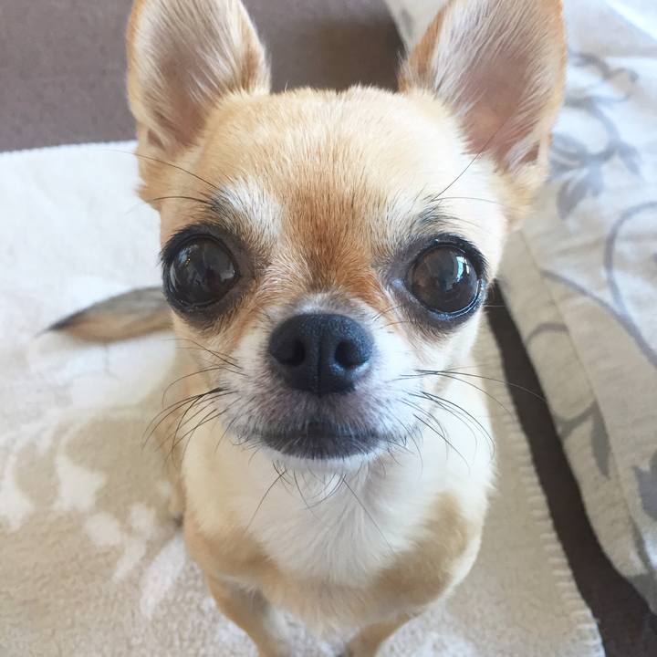 6b408c57 b363 4cc8 8e8a 0e03751ac685 1510018423542