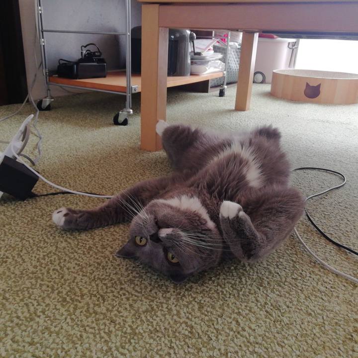 6b40ca46 abe0 465e b9d9 196e80d508f7 1726785416889