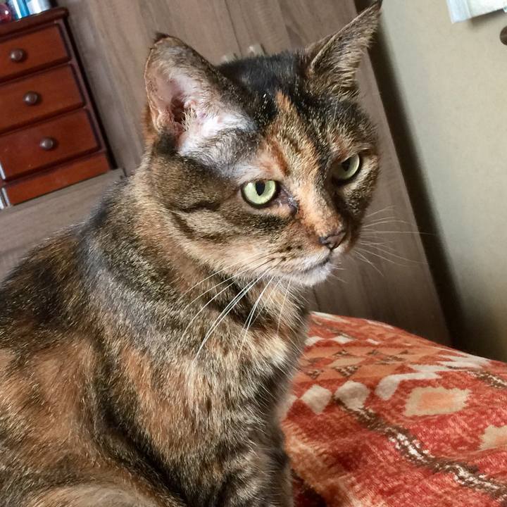 6b40e57c e851 4a12 bdaa 9c6ebc49a752 1518589075254