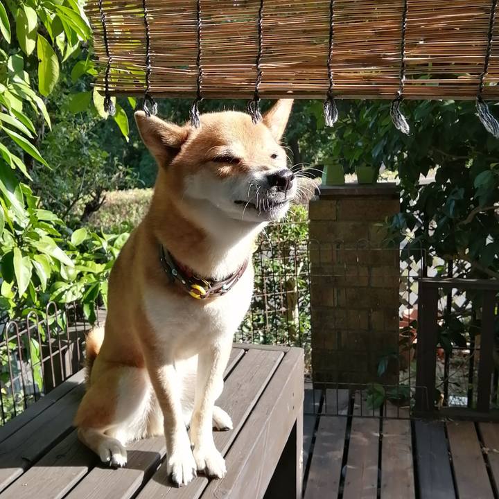 6b40faa2 e3d4 4371 9ccd 5f6abb37c2a9 1597827041903