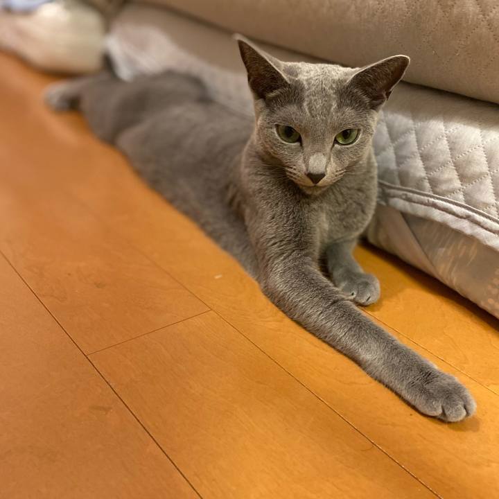 6b411b0d 68bb 4a99 a642 7ca63f6dbc26 1664404569482