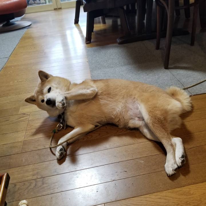 6b412e94 cb1c 4a22 915b 1665c6a8f2dc 1705448360525