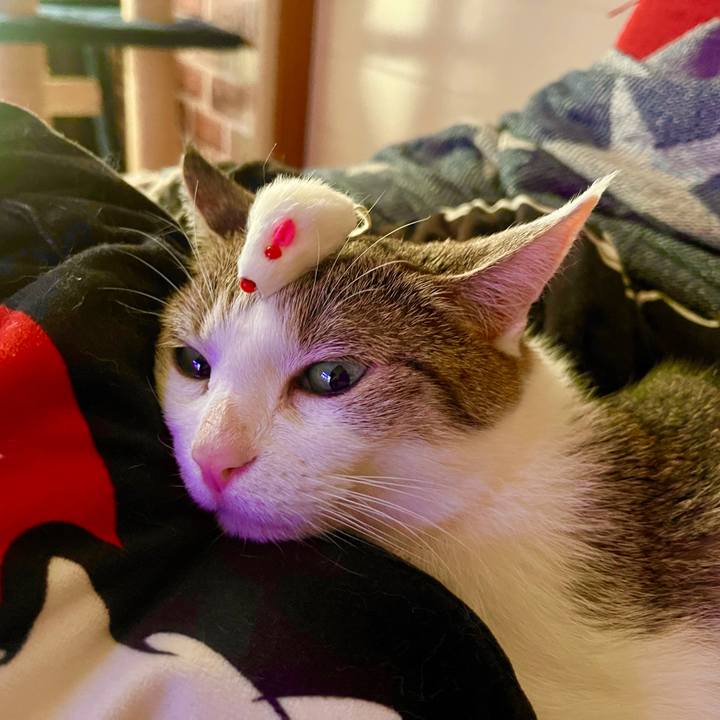 6b417e2a a872 43ce 91ee 79ceccd8a5a9 1628155288607