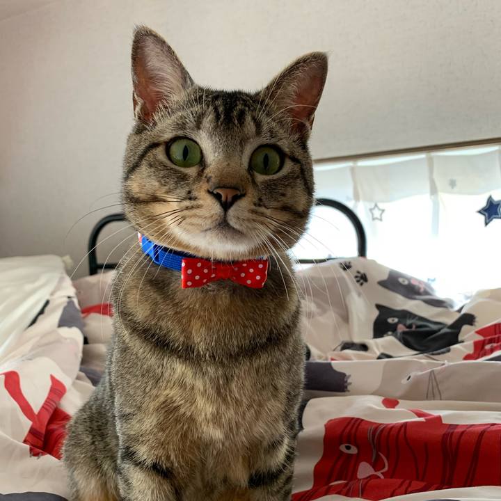 6b41954c a9ef 4a75 ae8e f27bed995e86 1587857612493