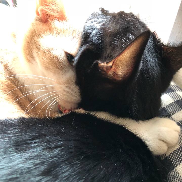 6b4195be f89d 4103 bfb0 acc9eebb76c1 1507940562079