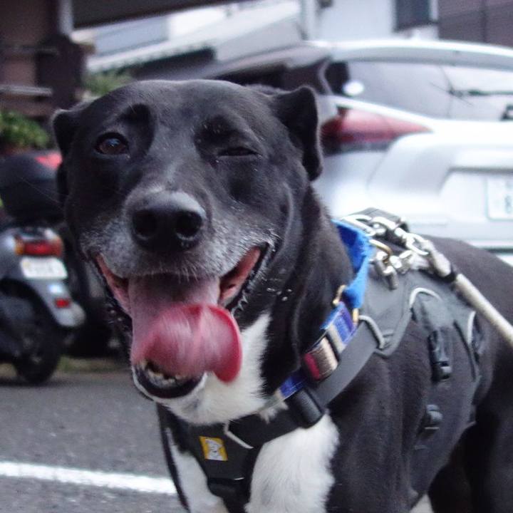 6b41e7a3 83f1 4317 84ab 2124fc64a7ea 1658141713847