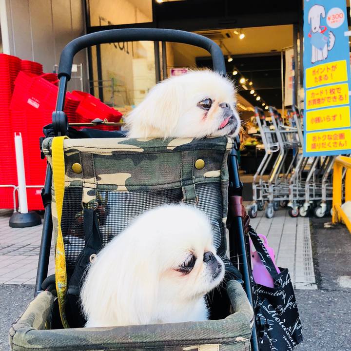 6b420b02 a8d5 4f90 885f a4859e089614 1598656935035