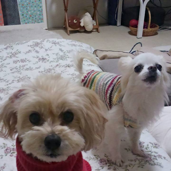 6b422029 603c 4d1c a882 6049c39ad0ab 1514195844449