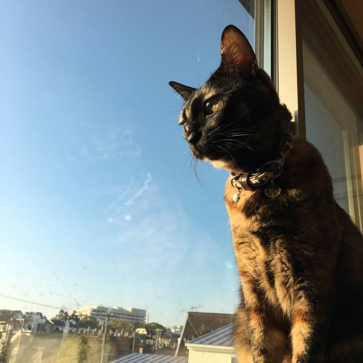 6b423583 fab6 4639 a943 1f3ccfb1e65b 1509110656011