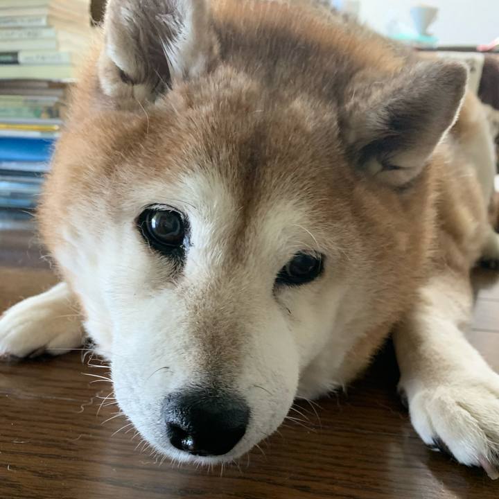 6b427455 c358 4aa5 993d 77d2a04ab616 1611575596138