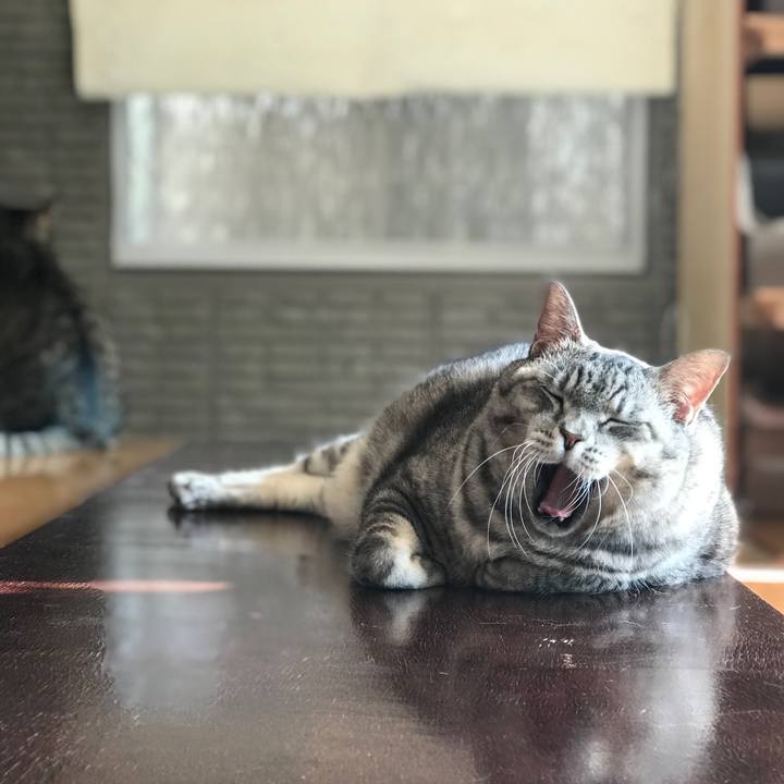 6b42b3e3 b427 436f 8fb2 43a4f49e723c 1606271358645